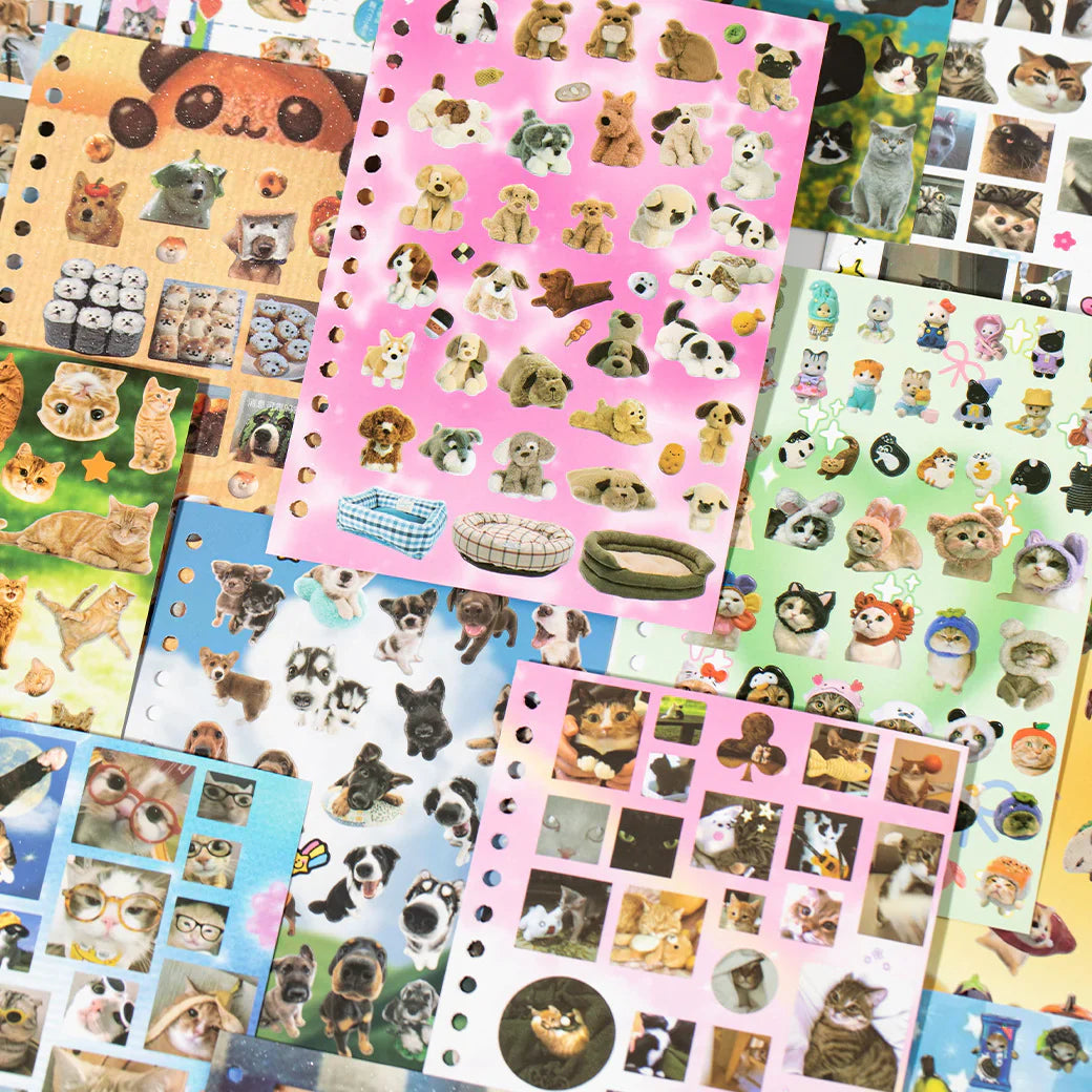 Cute Kitten Collection Sticker Book