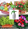 Flower Growth Seeds